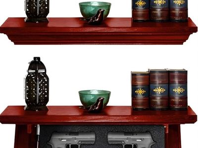 gun and valuables safe