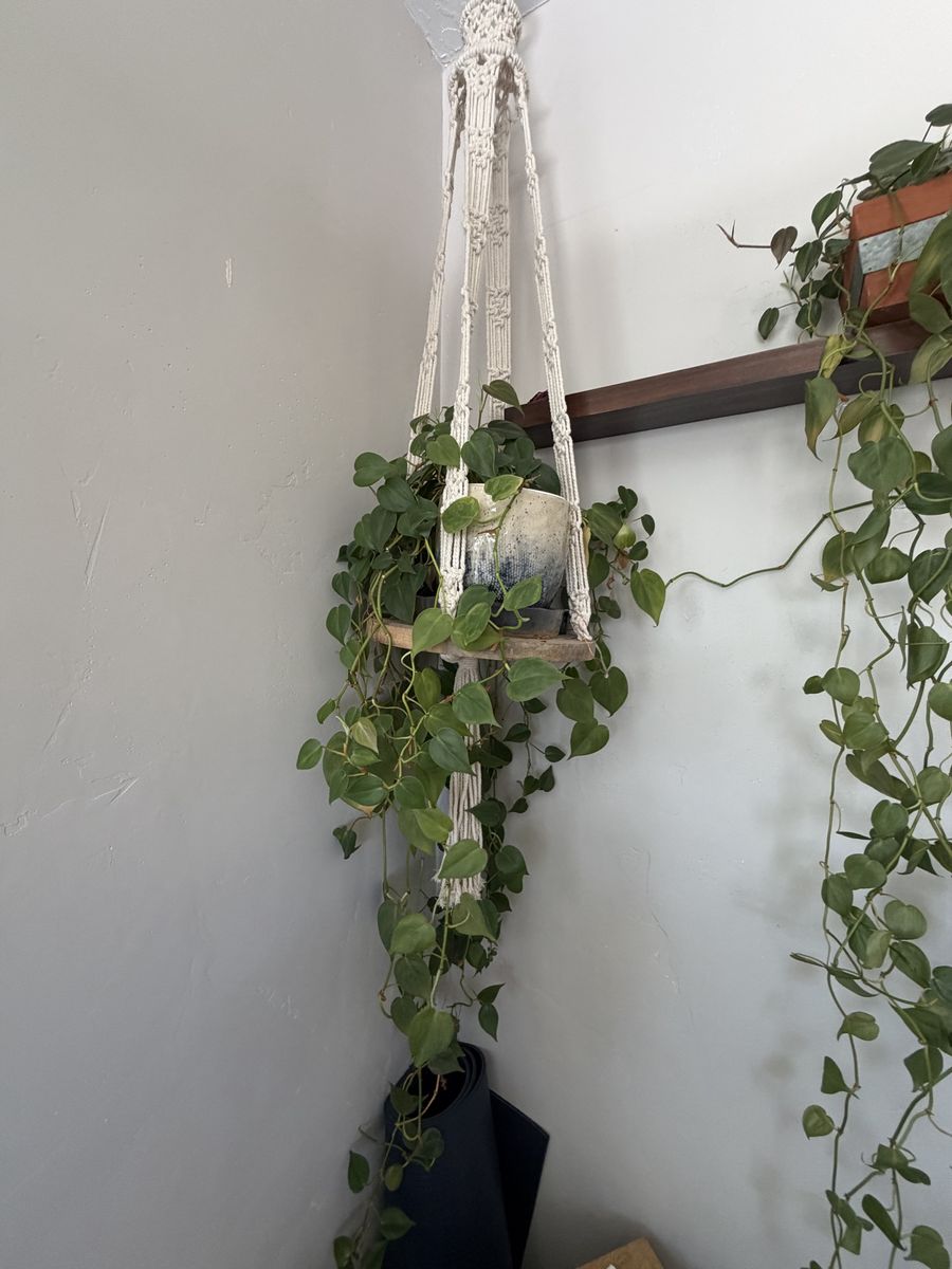 Main image 4