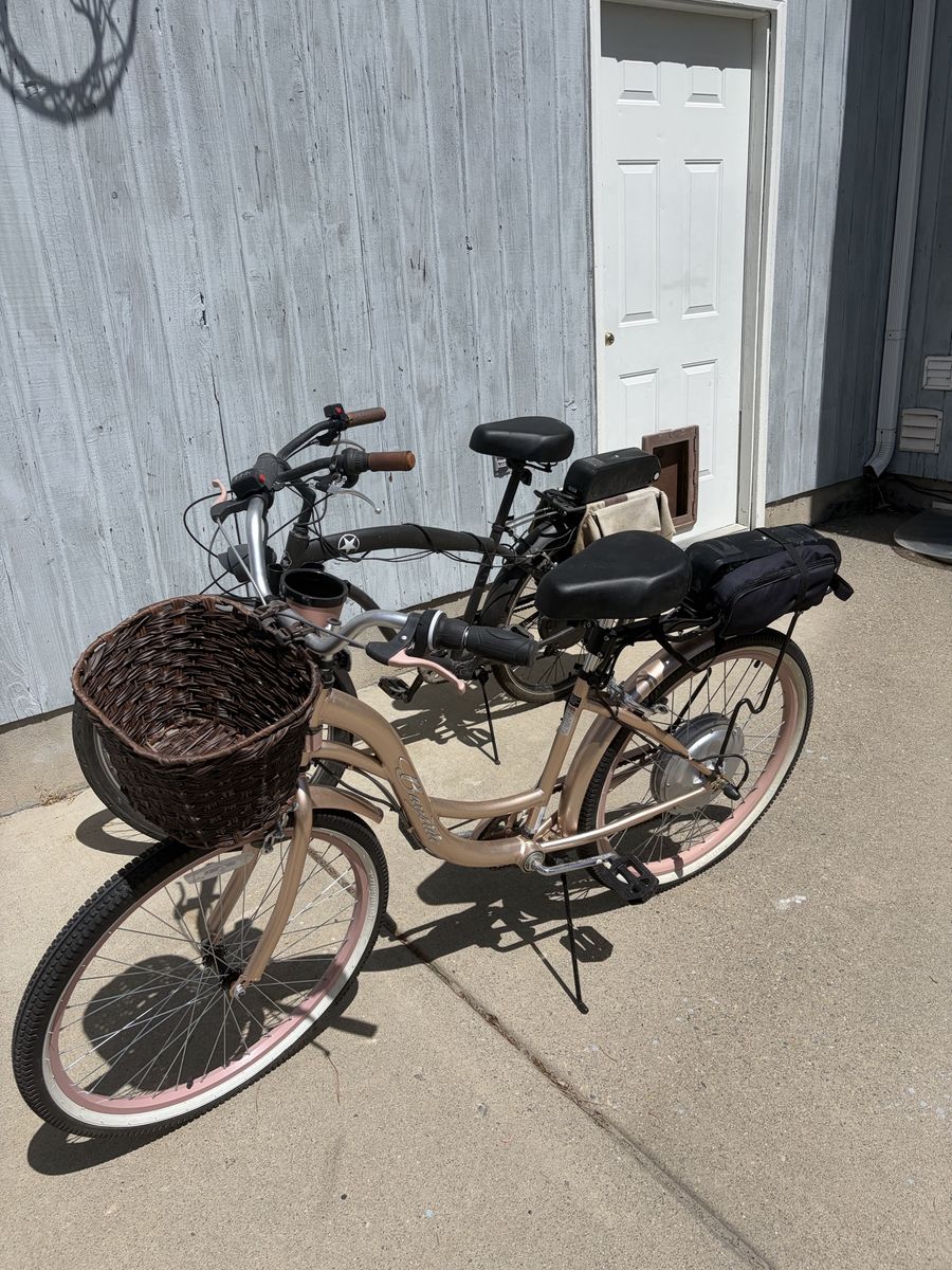 His and Hers Converted Bikes