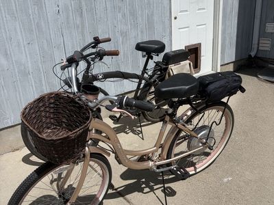 His and Hers Converted Bikes