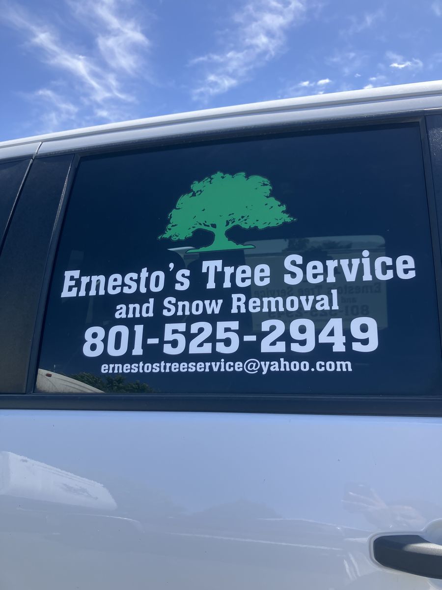 Tree Service