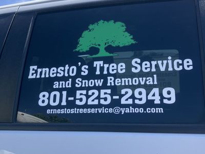Tree Service