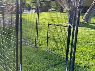 Lard Dog Run