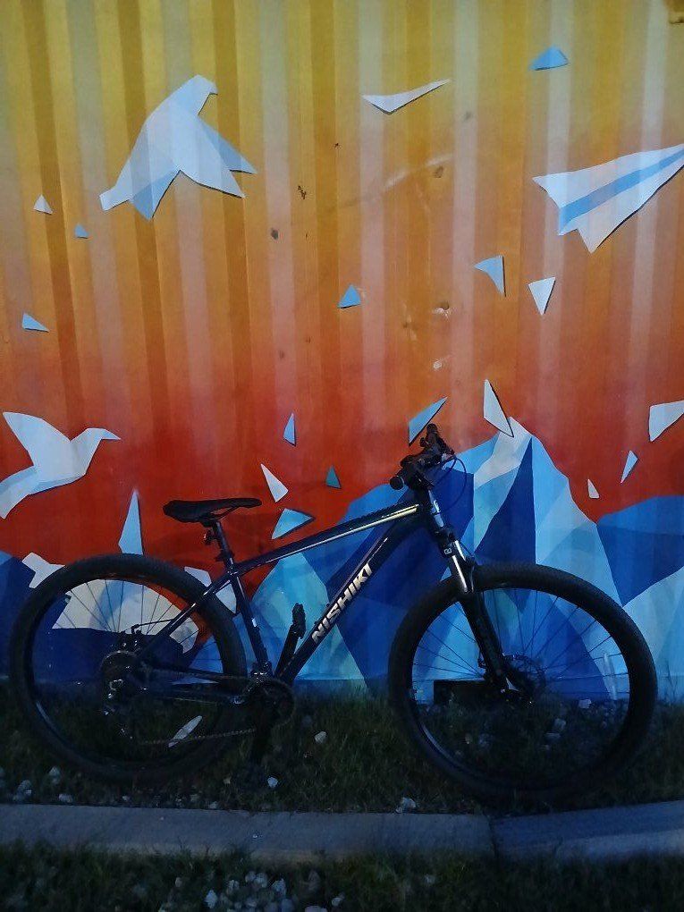 Mens 29' Nishiki Colorado mtn bike