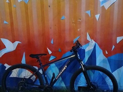 Mens 29' Nishiki Colorado mtn bike