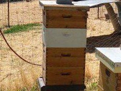 Wooden Bee Hive - Used, Good Condition for Beekeeping. 4 boxes, a lot of comb, bees absconded.
