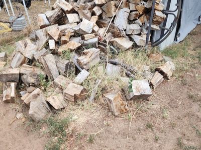 FREE! Split Firewood Pile - Outdoor Seasoned Wood Logs