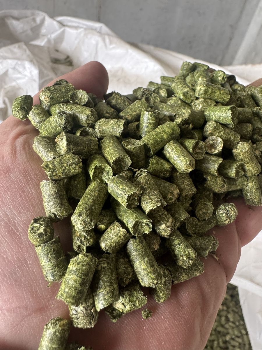 Alfalfa Pellets