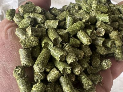 Alfalfa Pellets