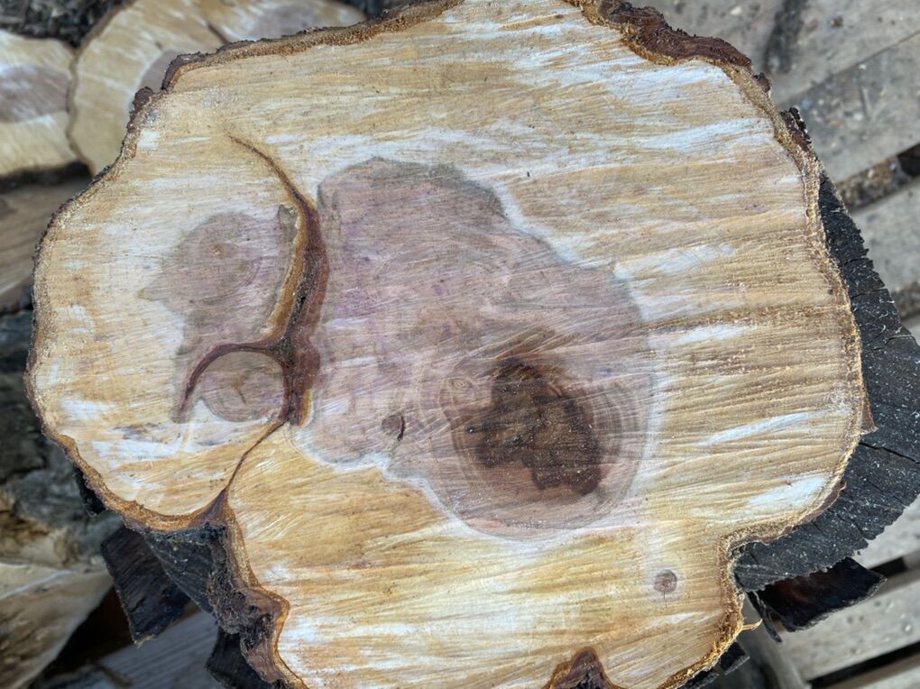 Plum Wooden Cookies And More