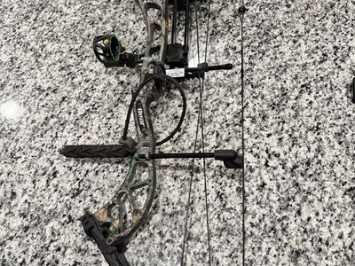 Bear Wild Compound Bow