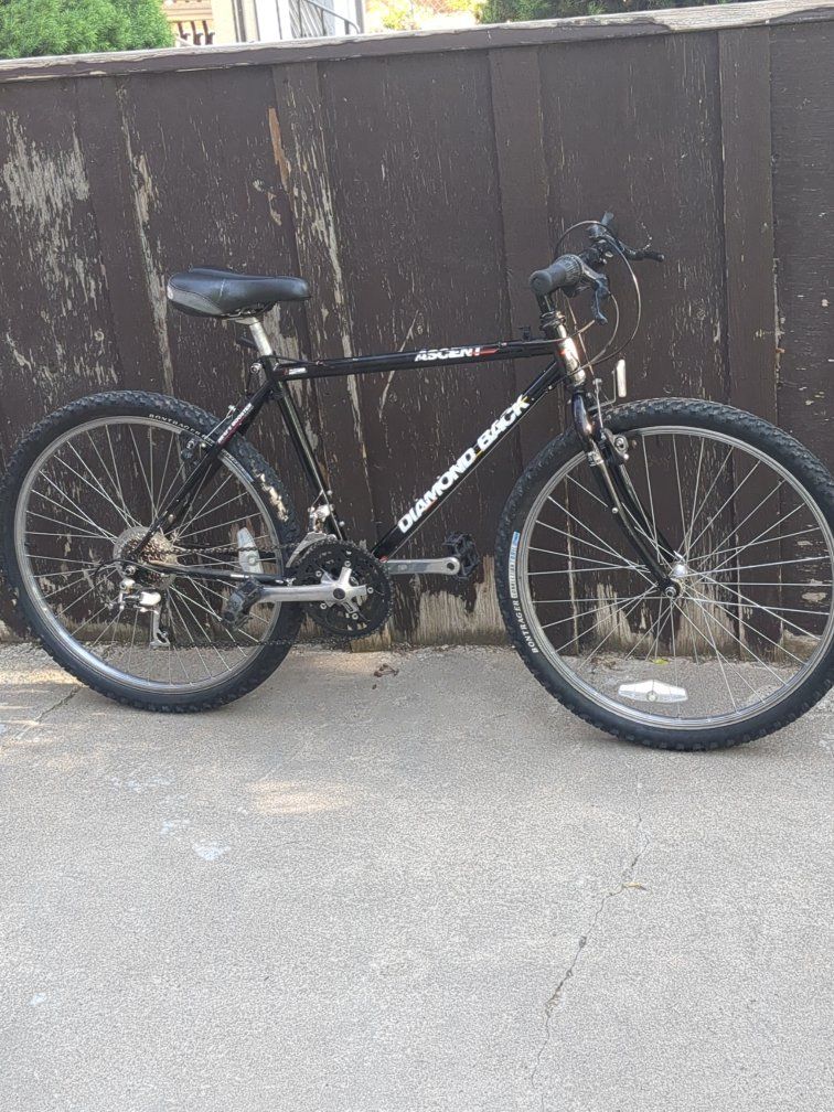 1995 Diamondback Ascent