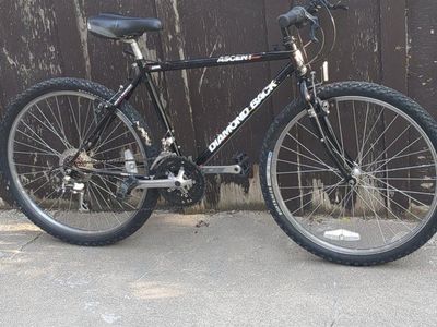 1995 Diamondback Ascent
