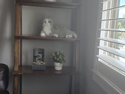 Rustic Wooden Ladder Shelf – Modern Farmhouse Style, Like New