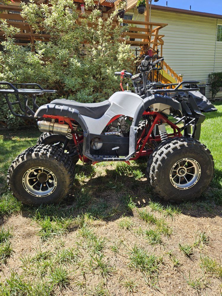 Tao Tao 125cc Z force