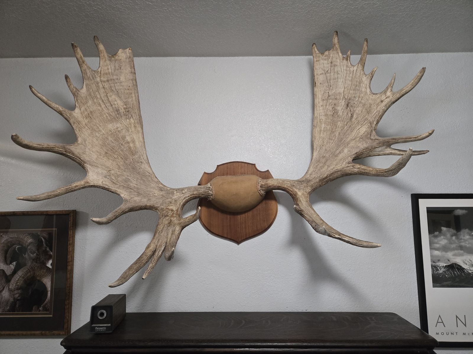 Moose Antlers and Bearskin Rug