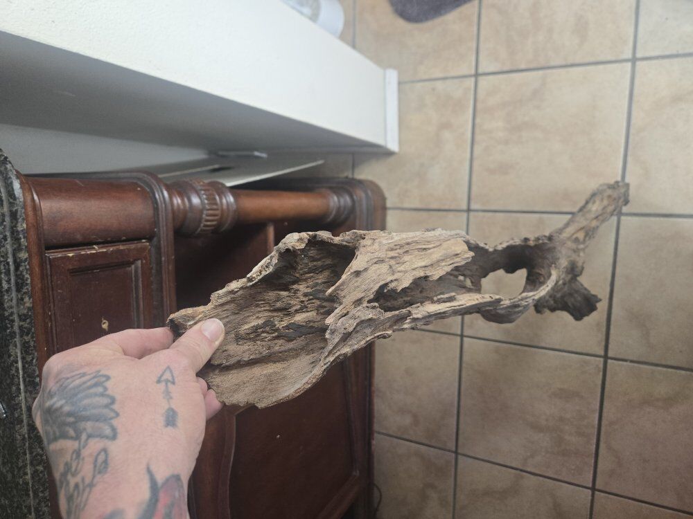 Driftwood,  bamboo grass and floating logs