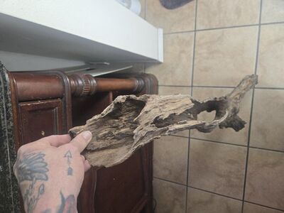 Driftwood, bamboo grass and floating logs