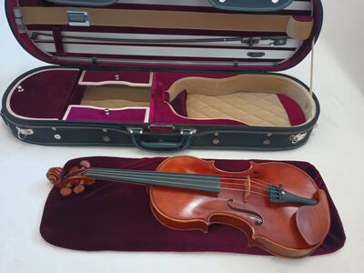 Violin