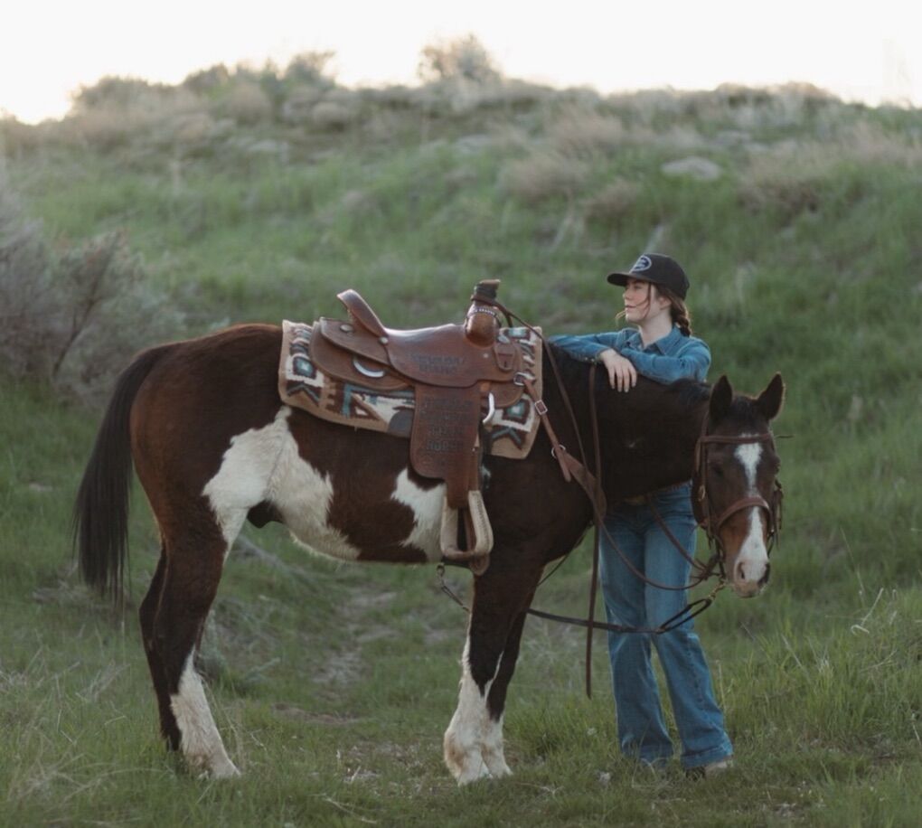 Bombproof finished Rope Horse - KID SAFE!!