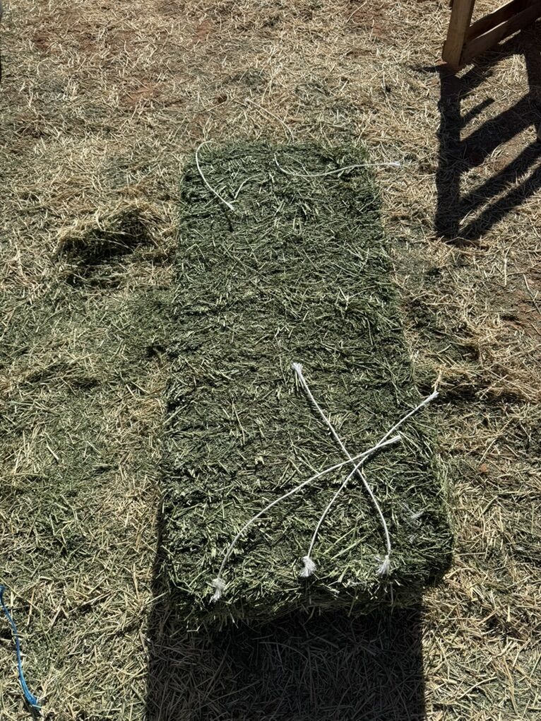 Alfalfa Hay 3 String Bales 90+ lbs