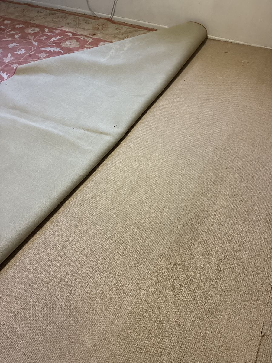 FREE RUG ON CURB IN COTTONWOOD HEIGHTS