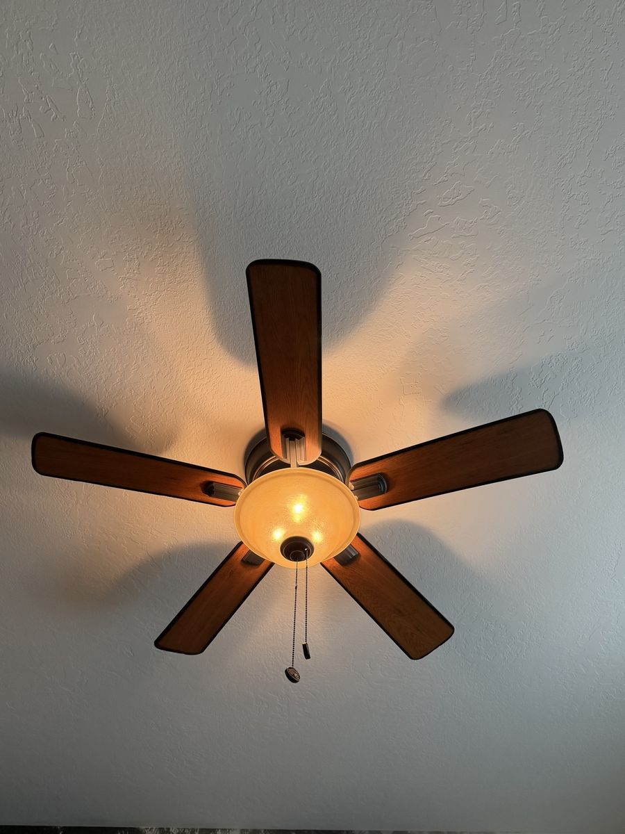 Hampton Bay 5-Blade Ceiling Fan with Light