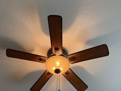 Hampton Bay 5-Blade Ceiling Fan with Light