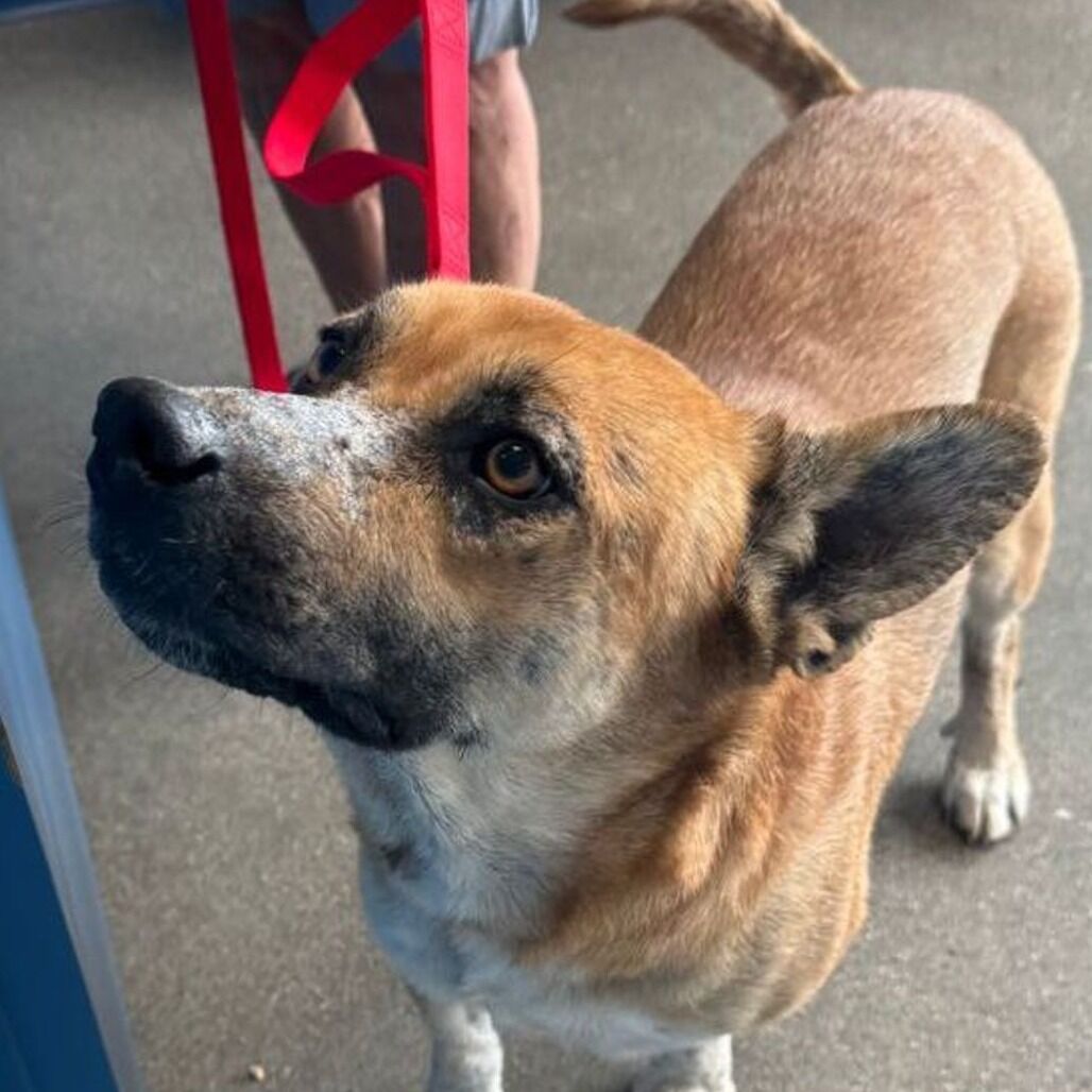 Hello my name is Lupita