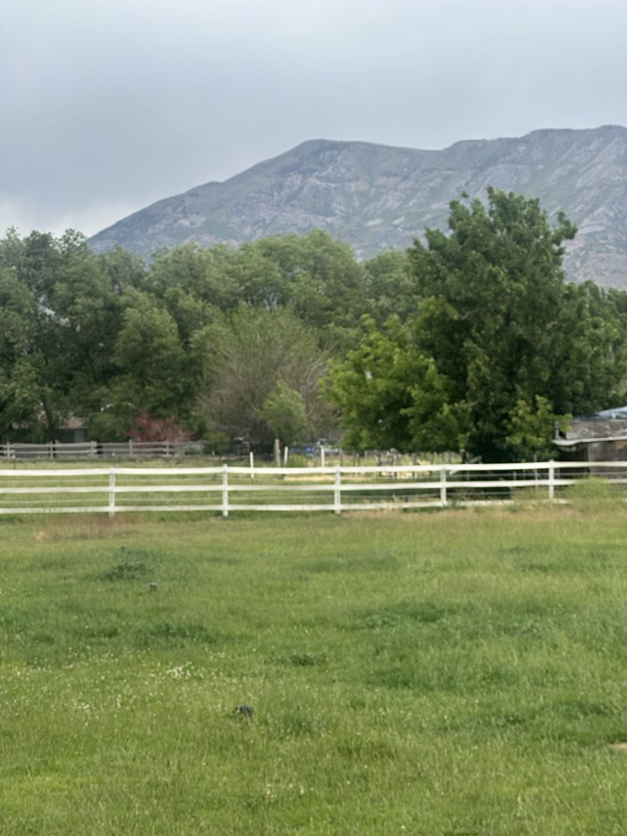 White Horse Fencing