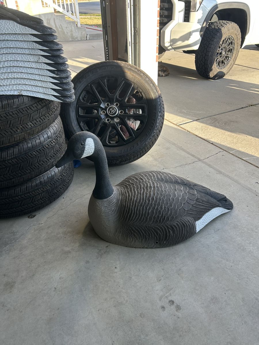 Super Mag Goose Shells