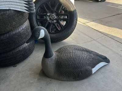 Super Mag Goose Shells