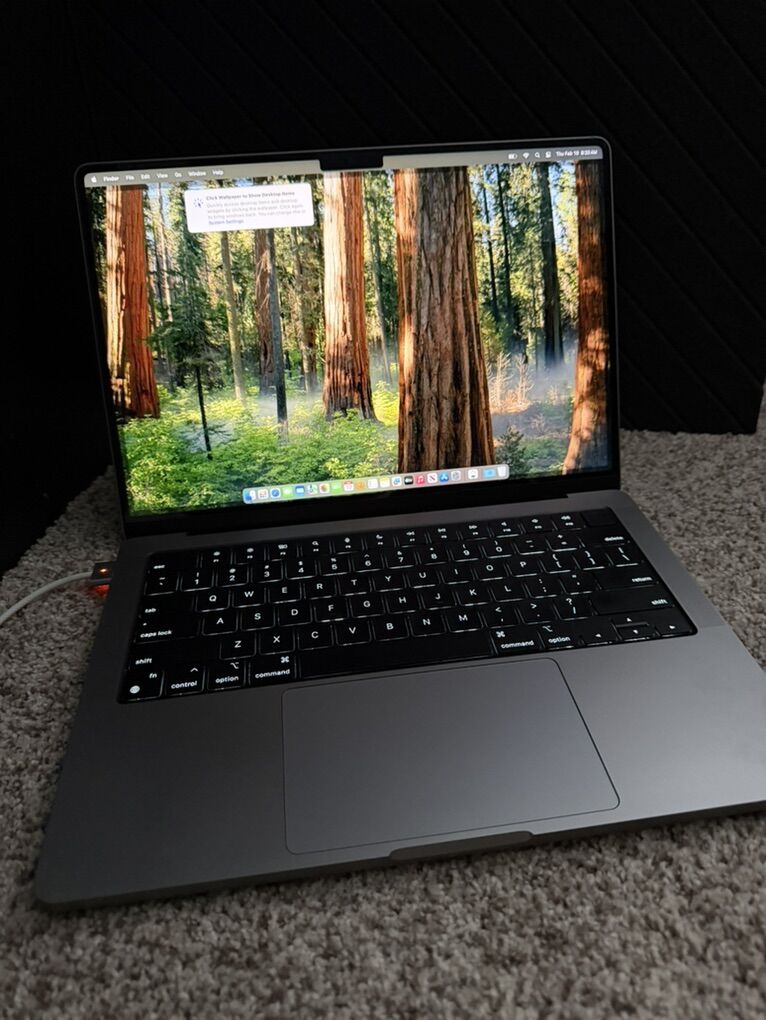 MacBook Pro 14 (Early 2023) - M2 Pro - 63 Cycles