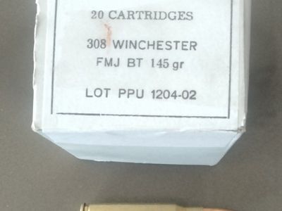 .308 Winchester Ammunition