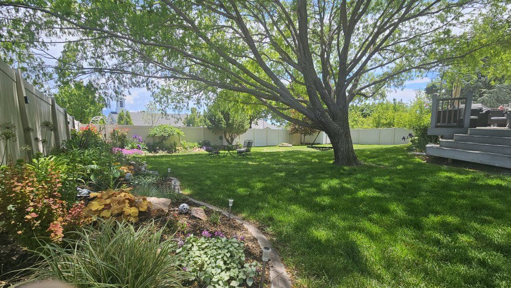 Affordable Backyard Venue for Your Special Day!