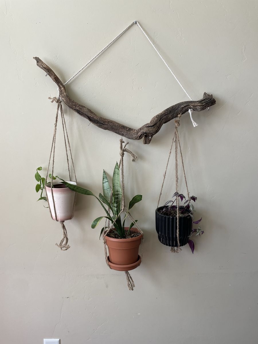 Driftwood plant hanger
