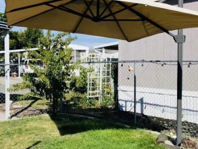 Large patio umbrella from IKEA