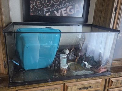 40 Gallon Glass Aquarium Tank with Accessories for Bearded Dragon