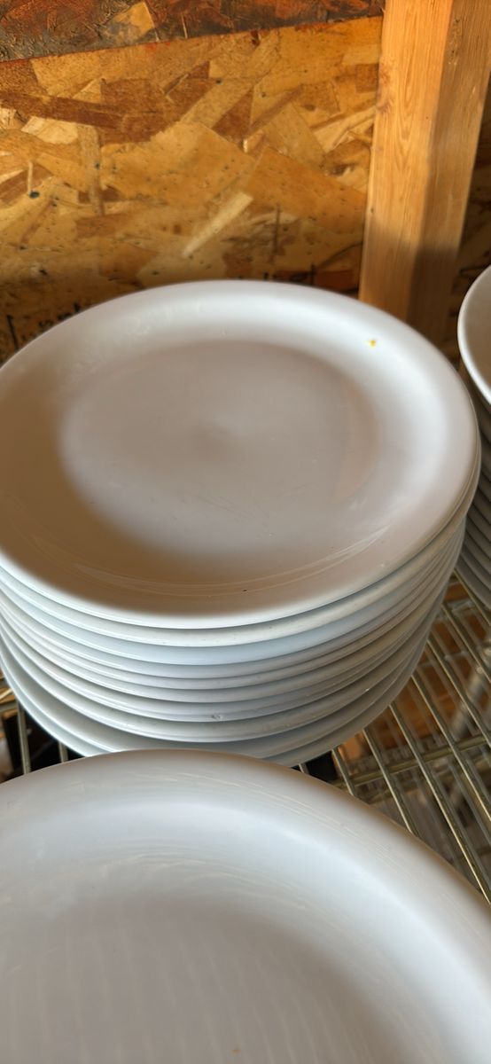 72 Ironstone Restaurant Salad Plates
