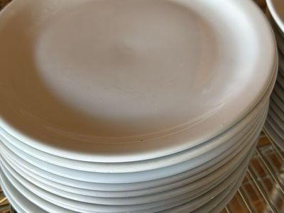 72 Ironstone Restaurant Salad Plates
