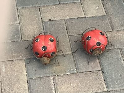 Set of 2 Metal Ladybug Garden Statues Yard Decor