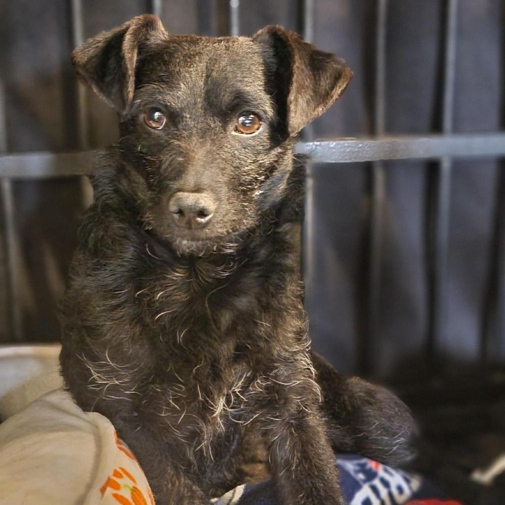 Hello my name is Turner