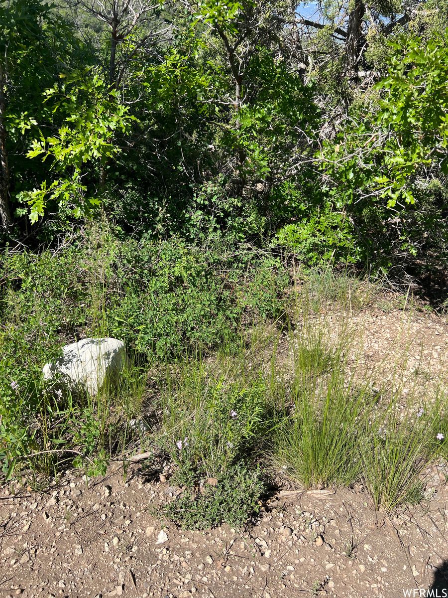 Main image 6