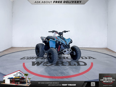2026 Can-Am Renegade 110