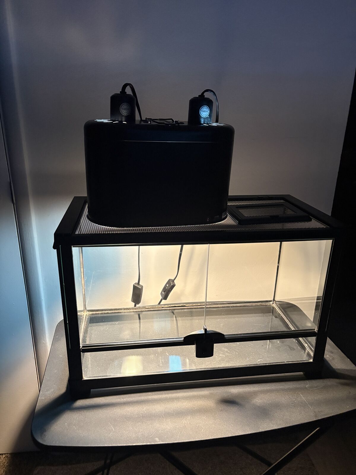 Reptile terrarium with lamp and bulbs