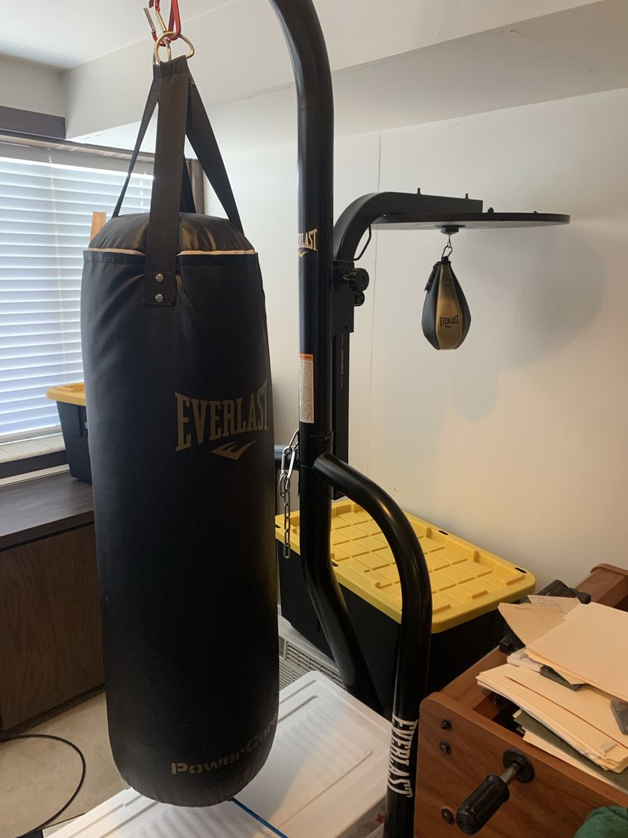 Everlast Punching Bag