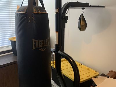 Everlast Punching Bag