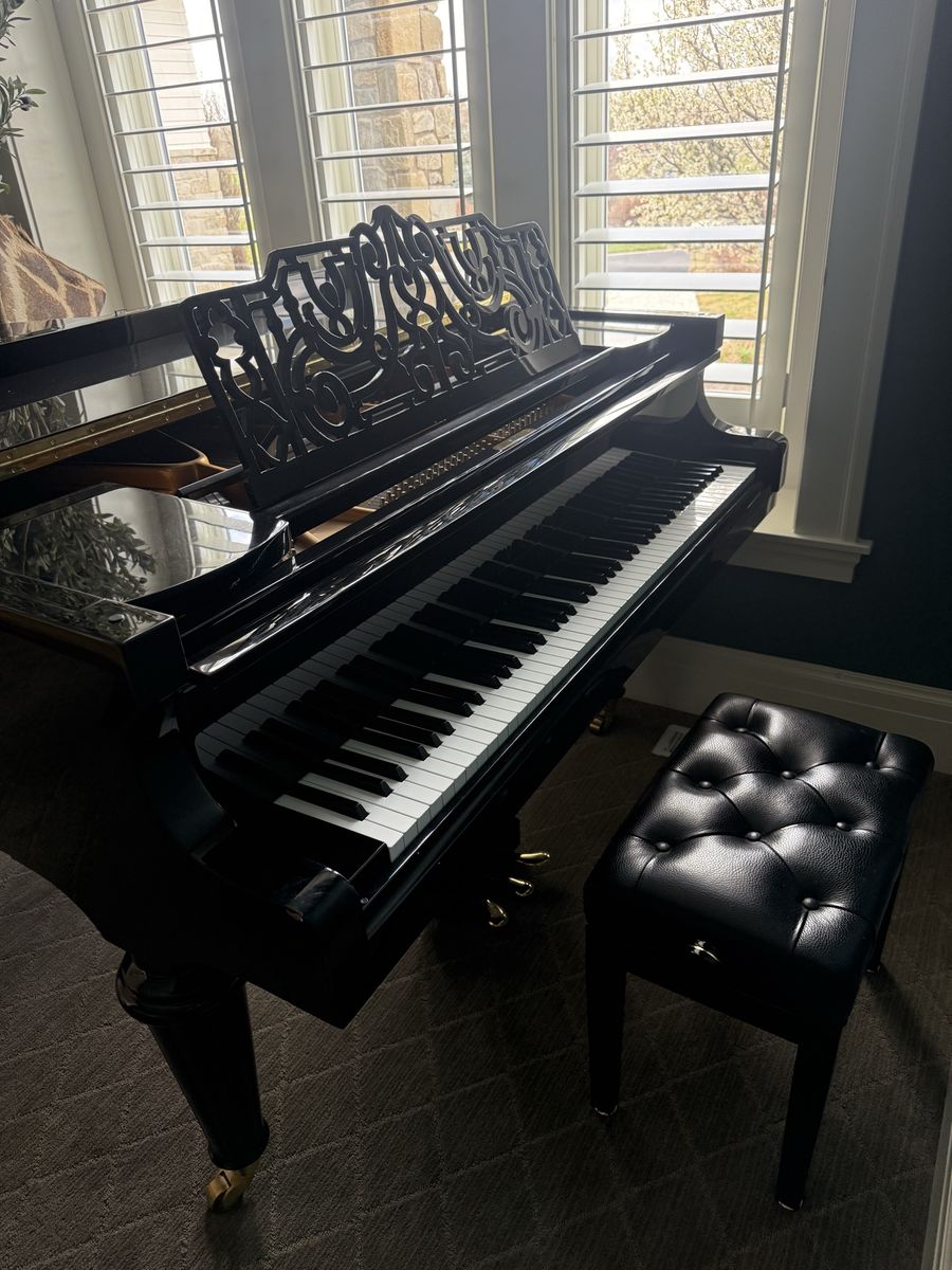 Grand Piano Vogel by Schimmel