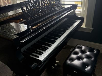 Grand Piano Vogel by Schimmel