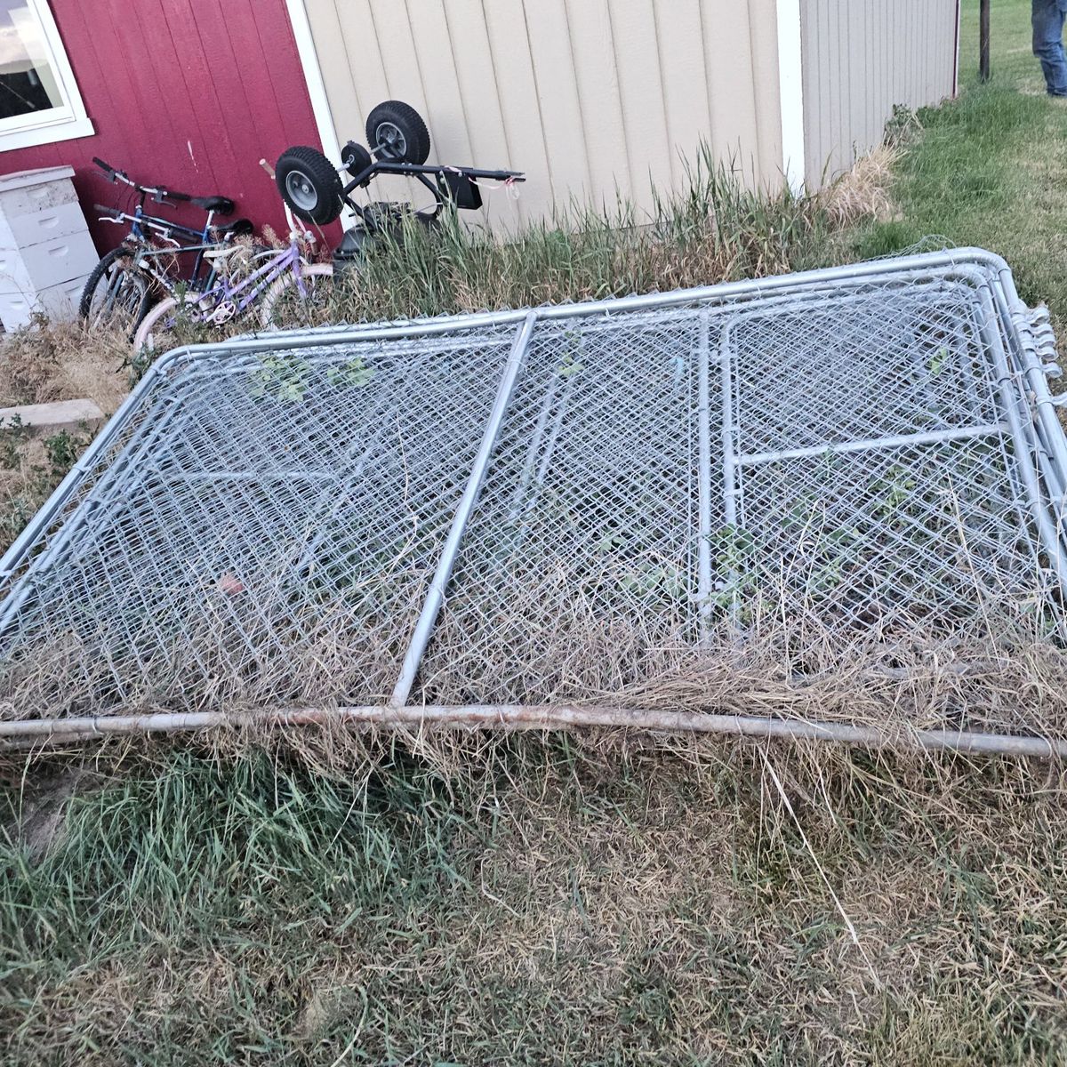 2 dog pens
